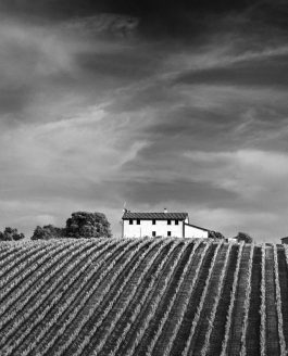 Petra Winery in B&W