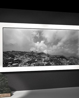 Espongo al Palazzo della Provincia di Trento | Sept14