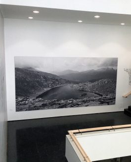 Espongo al MART per “La Guerra che Verrà”. Oct14 – Sept15