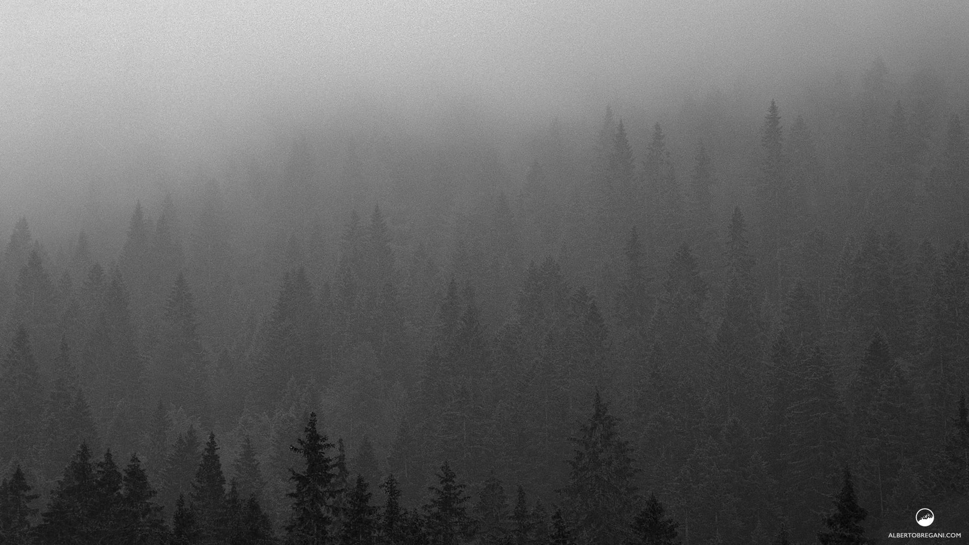 Un giorno mi venne chiesto…