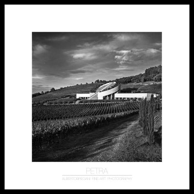 Petra Vineyard Tuscany